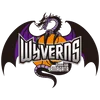 山形飞龙